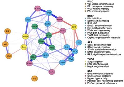 Exploring cognitive, behavioral and autistic trait network topology in very preterm and term-born children
